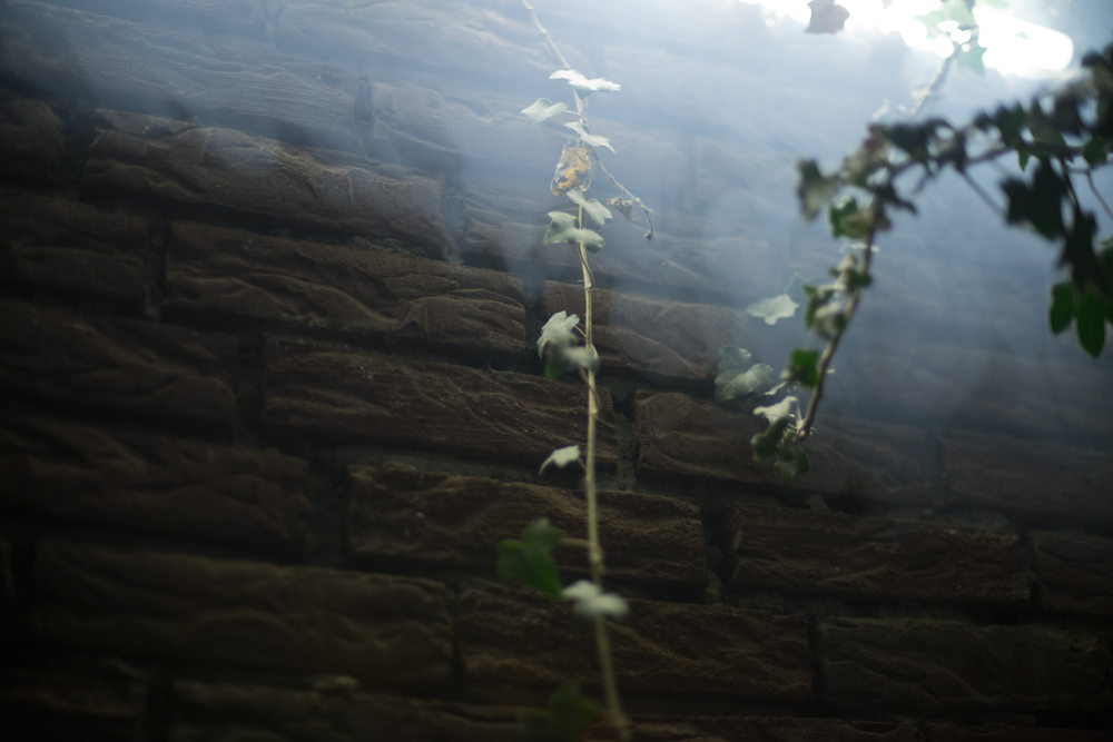 smoke-wall-david-gabriel-fischer-photography